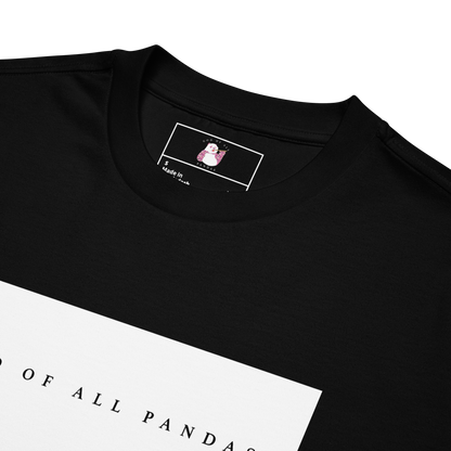 God of All Pandas Oversized heavyweight t-shirt